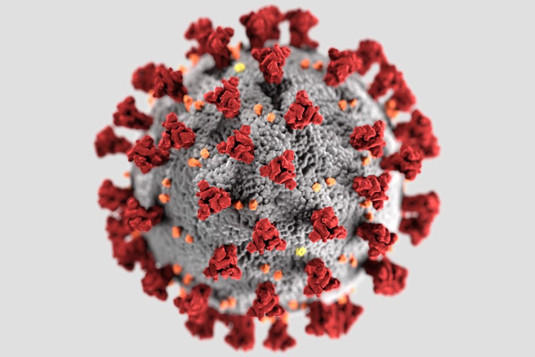sars-cov-2-virus